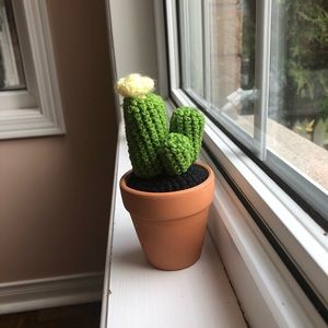 Handmade Crochet Cactus